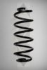 SPIDAN 56871 Coil Spring